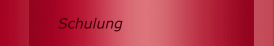 Schulung
